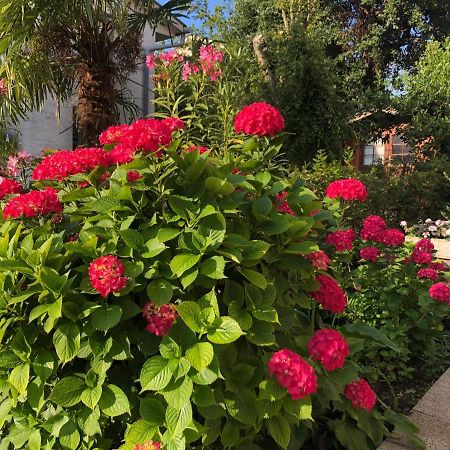 Casa Hortensia Njivice Buitenkant foto