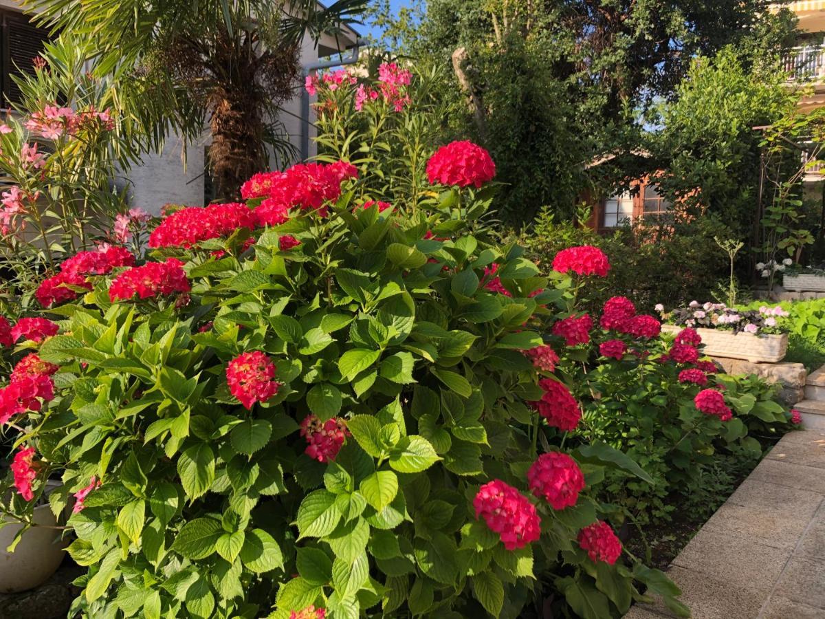 Casa Hortensia Njivice Buitenkant foto
